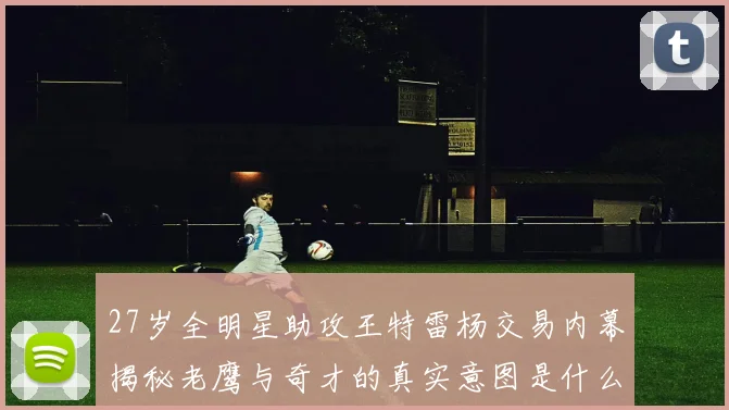 27岁全明星助攻王特雷杨交易内幕揭秘老鹰与奇才的真实意图是什么