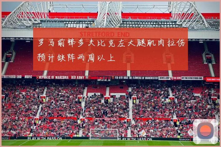 罗马前锋多夫比克左大腿肌肉拉伤预计缺阵两周以上